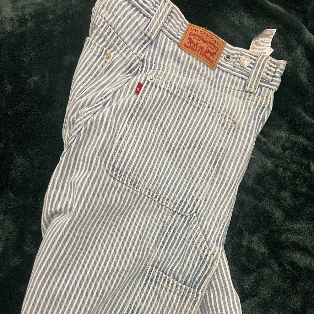 Carpenter. cinch baggy style. Levi’s.